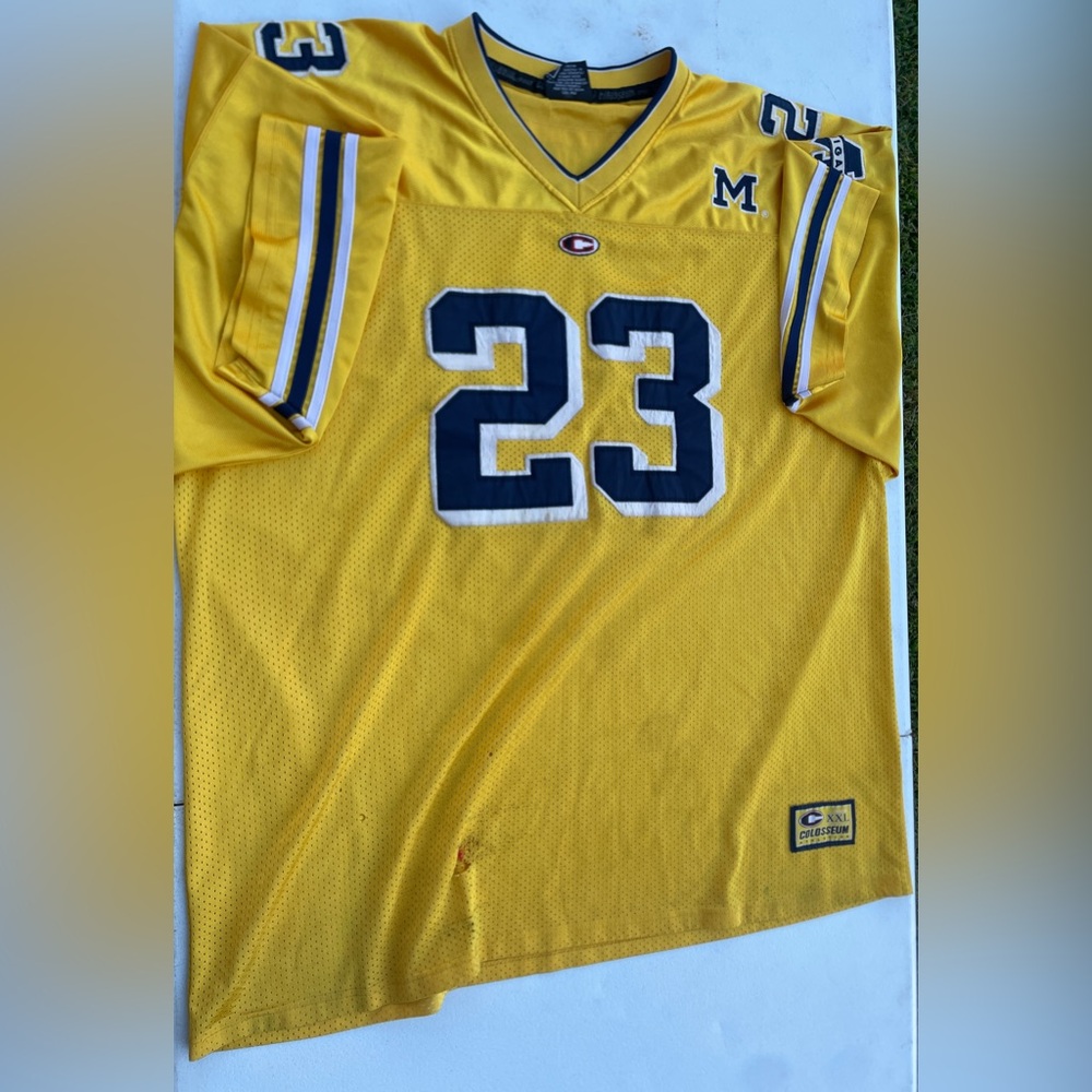 Vintage Michigan wolverines jersey number 23
